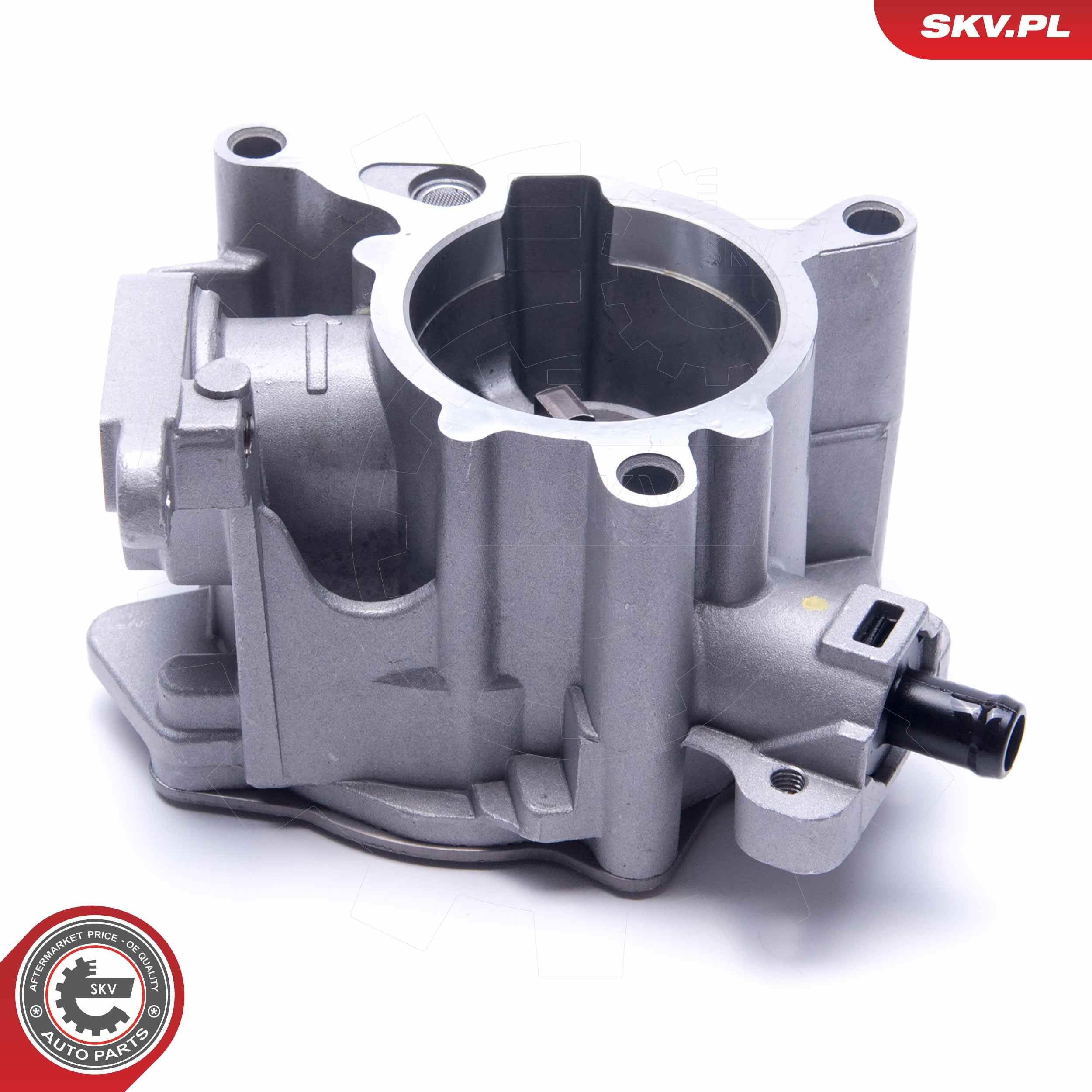 18SKV039 SKV